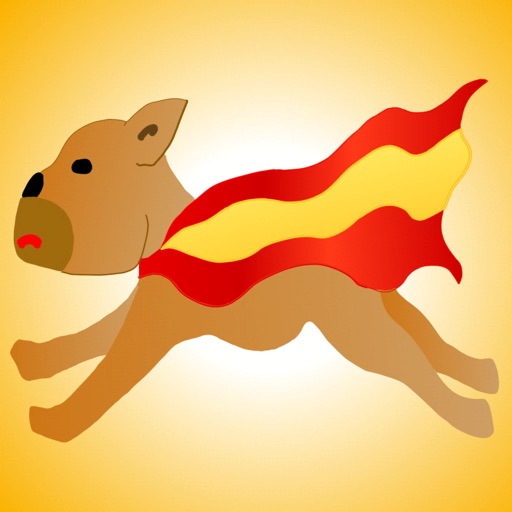 Verb Conjugations Spanish app reviews download