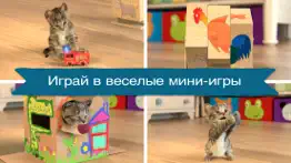 Маленький Котенок - Моя Кошка! айфон картинки 2