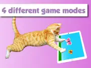 happycats kediler için oyun ipad resimleri 3