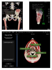 muscle system pro iii iPad Captures Décran 3