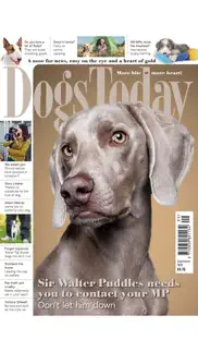 dogs today magazine iphone resimleri 2