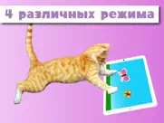 happycats игра для кошек айпад изображения 3
