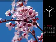 photo frame calendar & clock айпад изображения 2