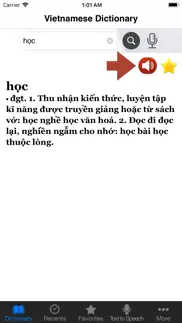 vietnamese dictionary. iphone images 2