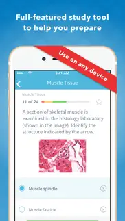 histology: usmle q&a review iphone images 3