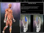 puntos musculares ipad capturas de pantalla 4