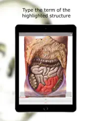 anatomy quiz lite iPad Captures Décran 4
