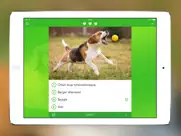 chiens 2 pro iPad Captures Décran 4