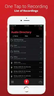 voice recorder plus pro iPhone Captures Décran 1