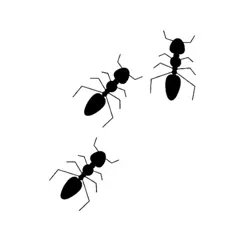 ant message sticker pack logo, reviews