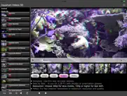 aquarium videos 3d ipad resimleri 1