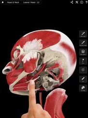 muscle system pro iii iPad Captures Décran 2