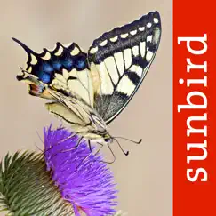 butterfly id - uk field guide logo, reviews