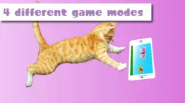 happycats игра для кошек айфон картинки 3