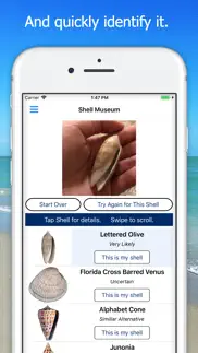 shell museum: identify shells iphone images 3