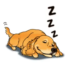 brave golden retriever dog logo, reviews