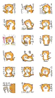 白爛貓2 - 初登場 iphone images 1