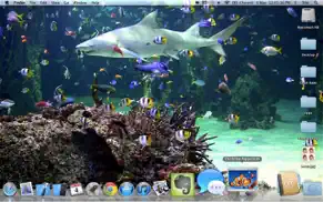 desktop aquarium wallpapers iphone images 3