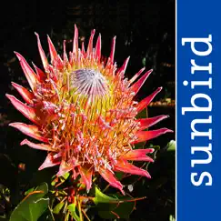 wildflowers of south africa logo, reviews