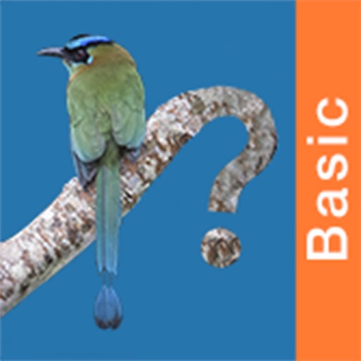 Panama Birds Field Guide Basic app reviews download