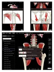 muscle system pro iii iPad Captures Décran 4