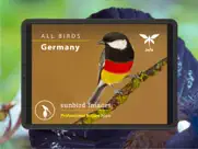 all birds germany ipad images 1