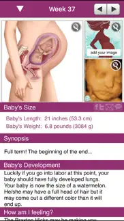 ipregnant pregnancy tracker iphone resimleri 2