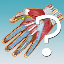 anatomy hand quiz-rezension, bewertung