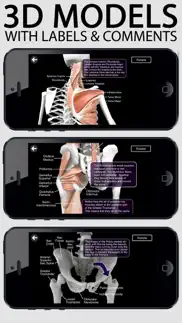 learn muscles: anatomy iphone images 1