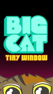 big cat tiny window iphone images 1