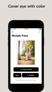 face tool - face mask picture iphone resimleri 2