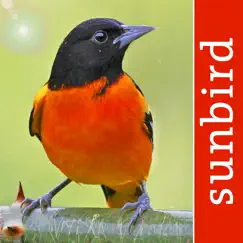 bird id usa - backyard birds logo, reviews