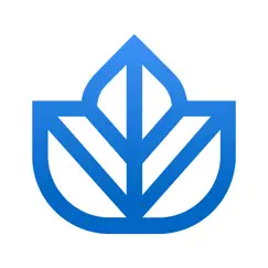 ivy.co logo, reviews
