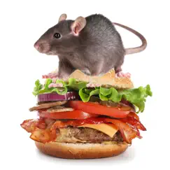 burger rats logo, reviews