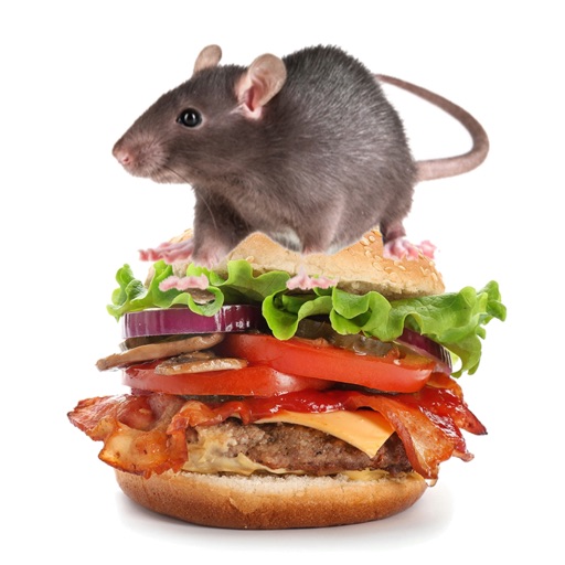 Burger Rats app reviews download