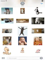 funny animal cat baby stickers ipad images 3