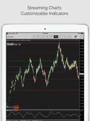 commodities pro (ms) ipad images 2