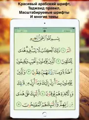 Коран Маджид القرآن المجيد айпад изображения 1