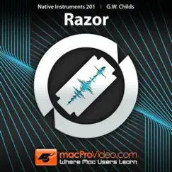 working with razor course logo, reviews