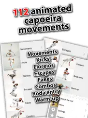 beautiful capoeira ipad images 1