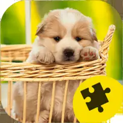 cute dogs puppy jigsaw puzzle inceleme, yorumları