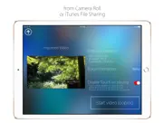infinite loop player pro iPad Captures Décran 2