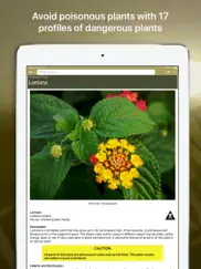 wild plant survival guide ipad images 2