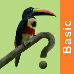 costa rica birds basic logo, reviews