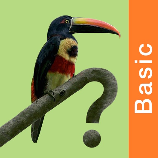 Costa Rica Birds Basic app reviews download