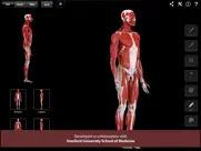 muscle system pro iii iPad Captures Décran 1