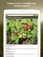 wild plant survival guide ipad images 3