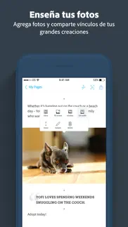 adobe spark page iphone capturas de pantalla 4
