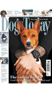 dogs today magazine iphone resimleri 3