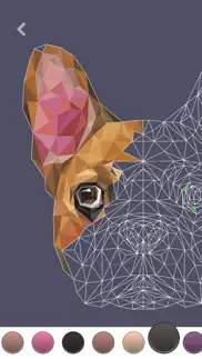 polygo - lowpoly coloring book iphone images 4